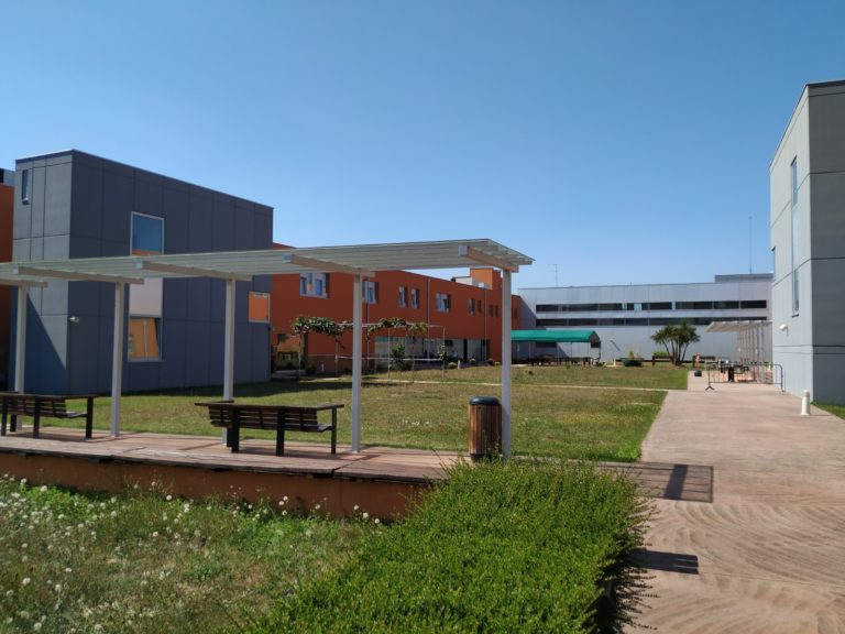 IMG 20210810 164835 768x576